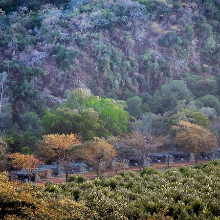 Lions Rock Rapids - Luxury Tented Camp 헤이지뷰 외부 사진