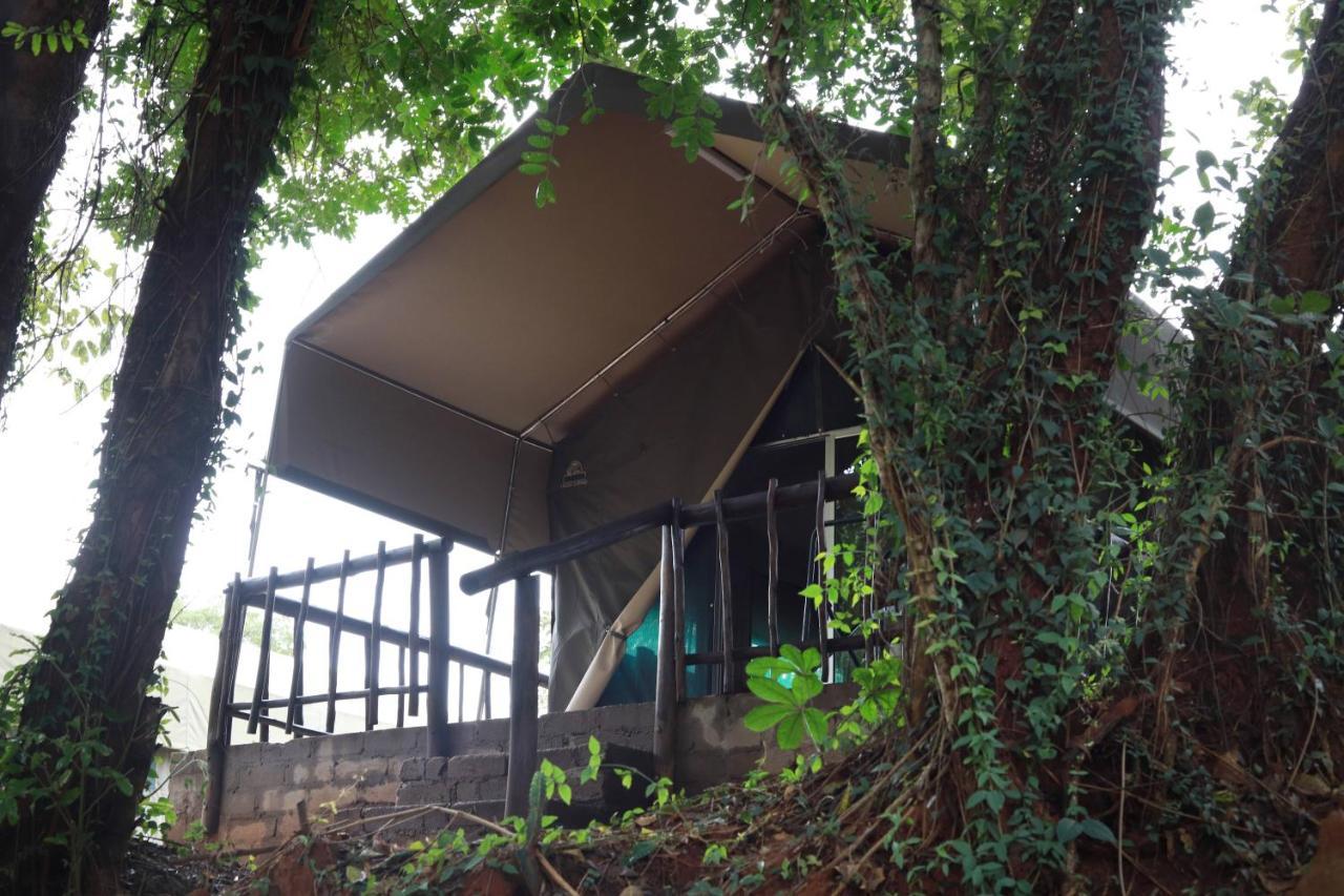 Lions Rock Rapids - Luxury Tented Camp 헤이지뷰 외부 사진
