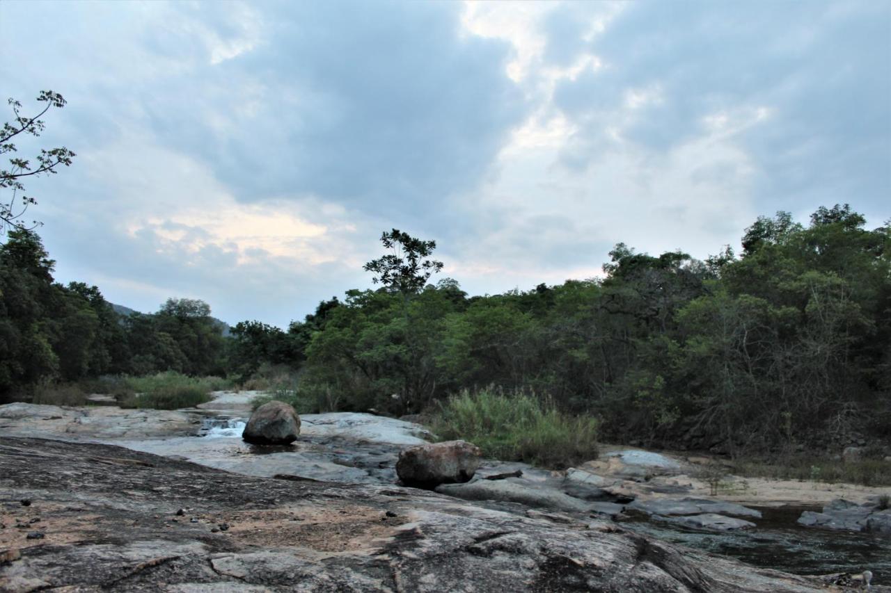 Lions Rock Rapids - Luxury Tented Camp 헤이지뷰 외부 사진