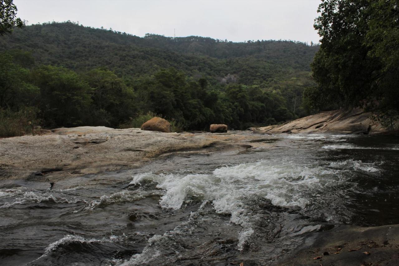 Lions Rock Rapids - Luxury Tented Camp 헤이지뷰 외부 사진