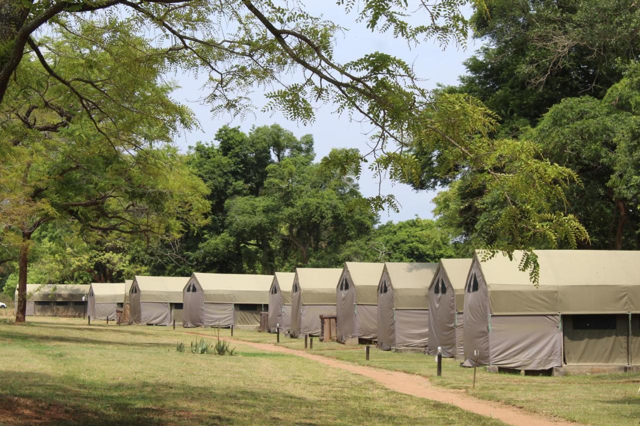 Lions Rock Rapids - Luxury Tented Camp 헤이지뷰 외부 사진
