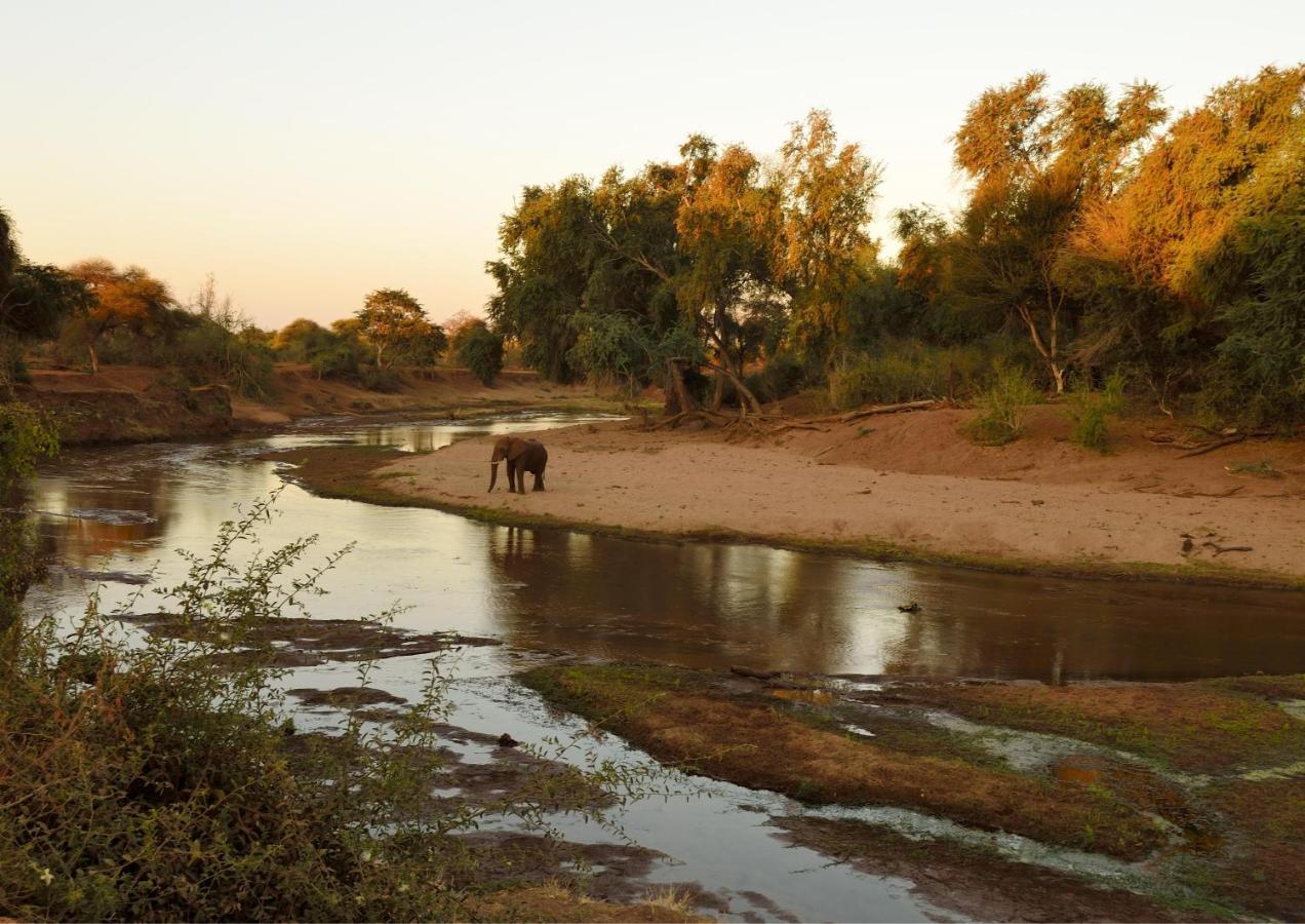Lions Rock Rapids - Luxury Tented Camp 헤이지뷰 외부 사진